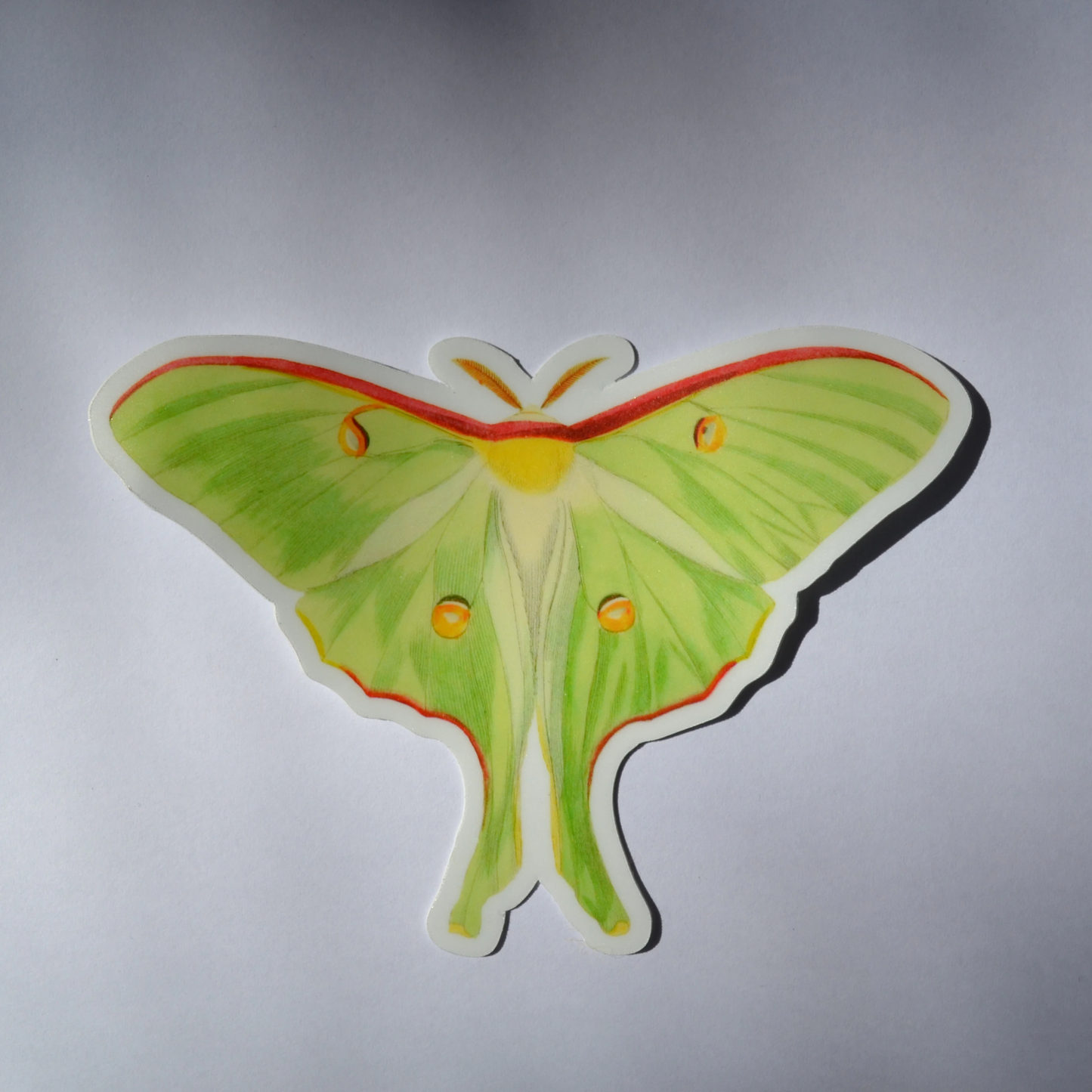 Luna Moth Sticker