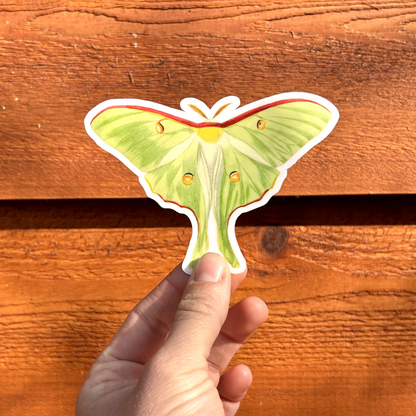 Luna Moth Sticker