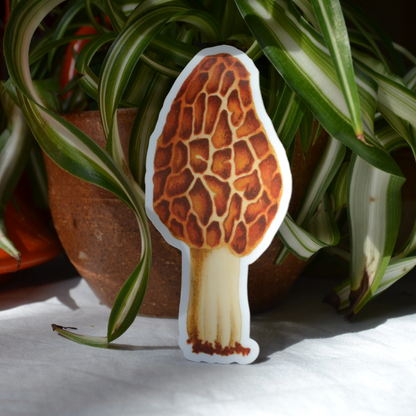 Morel Mushroom Sticker