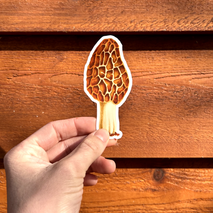 Morel Mushroom Sticker