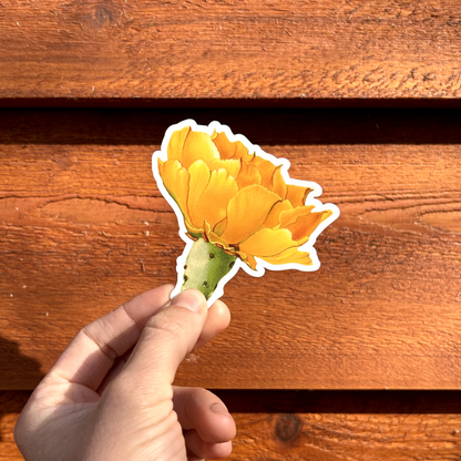 Prickly Pear Sticker