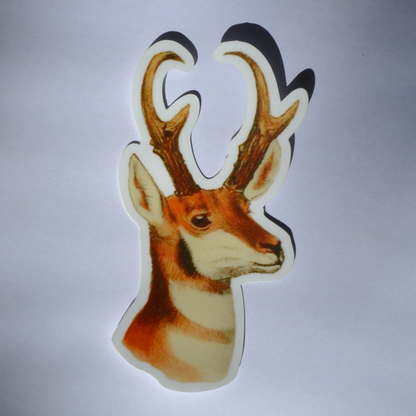 Pronghorn Sticker