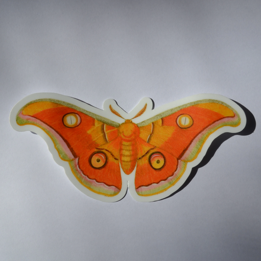 Tussar Moth Sticker