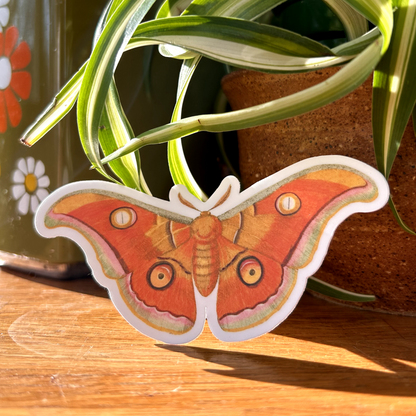 Tussar Moth Sticker